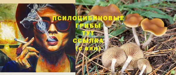 кокаин премиум Алексеевка