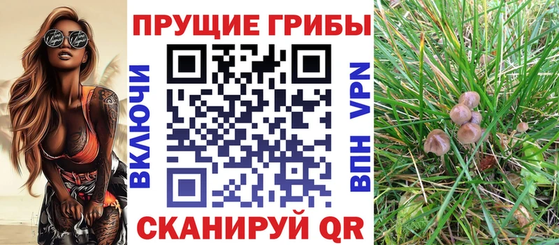 ОМГ ОМГ как зайти  это формула  Галлюциногенные грибы мицелий  наркошоп  Разумное 